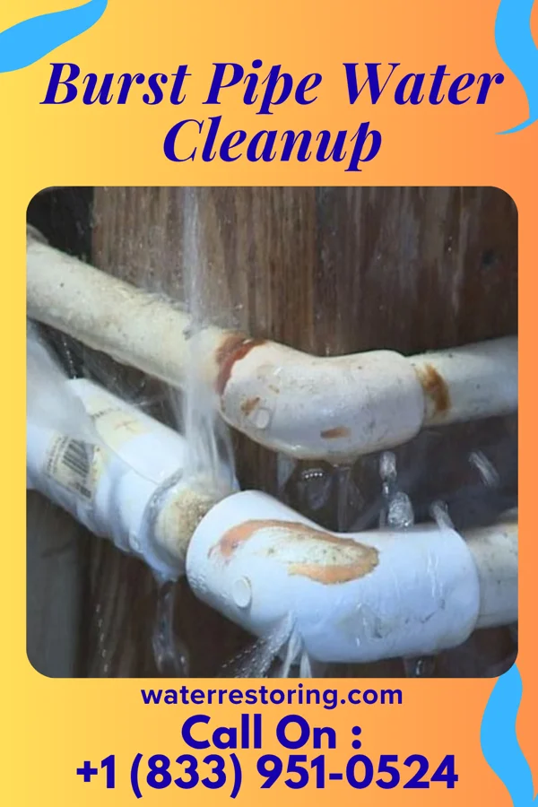 Burst Pipe Water Cleanup in Clifford, IN