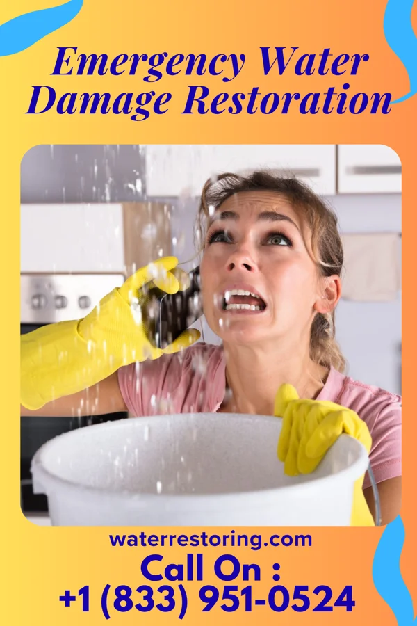 Emergency Water Damage Restoration in Clifford, IN